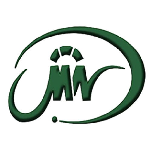 Madina Net Holding Company