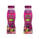 Florida – Grapes & Berries Juice 250ml