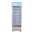 Bancool Single Glass Door Display Cooler – 250L – Upright