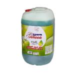 Dishwashing Liquid – Apple 30L