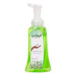 Hand Soap – Senshua Scent 480 ml