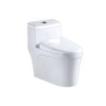 One‑Piece Toilet, White – S‑Trap 300 mm – China
