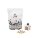 Salted Pumpkin Seeds